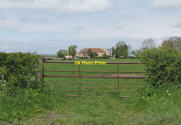 Photo 6"x4" Pasture south of Brawby Grange Brawby c2012