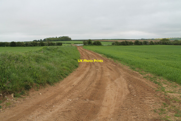 Photo 6"x4" Dirt Track, near The Beck Wilsford\/TF0043 c2012