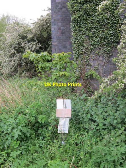 Photo 6"x4" In Memory of Cory, Conisbrough Viaduct Conisbrough c2012