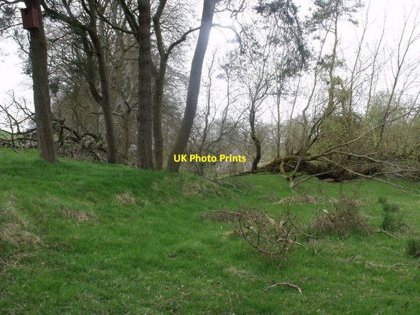 Photo 6"x4" Easter Jaw, dried up storage pond Crossburn\/NS8672 c2012