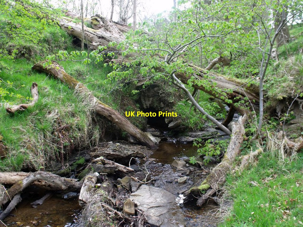 Photo 6"x4" Easter Jaw, ruins [11] Crossburn\/NS8672 c2012