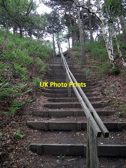 Photo 6"x4" The steps leading up from the Pottery Pier on Brownsea Lower Hamworthy c2012