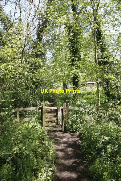 Photo 6"x4" And out of the gate Chilworth\/TQ0247 c2012