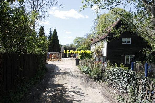 Photo 6"x4" Looking down a lane Chilworth\/TQ0247 c2012