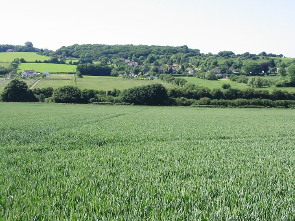 Photo 6"x4" View across the Elham Valley Elham c2008