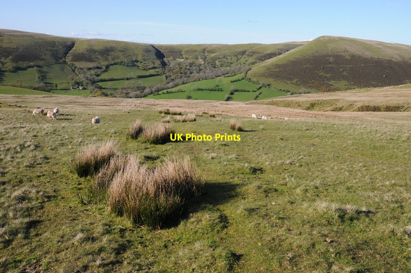 Photo 6"x4" Twyn Mawr Talsarn\/SN7726 c2012