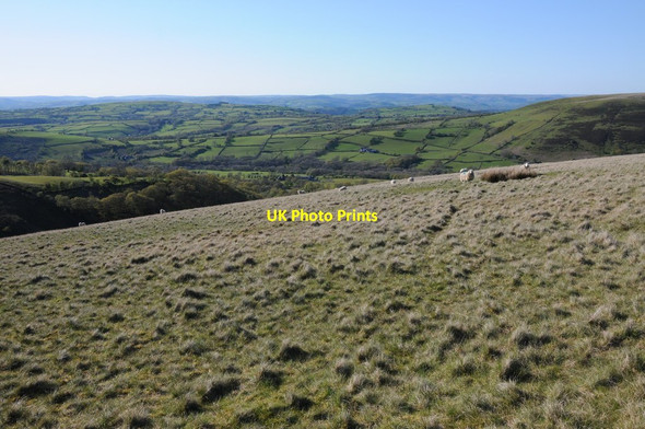Photo 6"x4" Rough grazing above Afon Mihartach Talsarn\/SN7726 c2012
