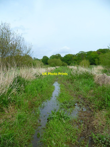 Photo 6"x4" Flooded path in Titchfield Haven NNR Fareham c2012