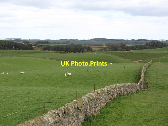 Photo 6"x4" Dyke, Clatto Kirkton of Cults c2012