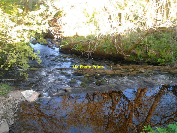 Photo 6"x4" Milnholm, Weir [2] Craigend\/NS7887 c2012