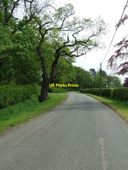 Photo 6"x4" Minor Road Broad Green\/TL6859 c2012