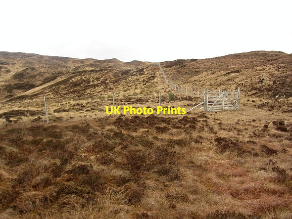 Photo 6"x4" Deer fence Teangue\/An Teanga c2012
