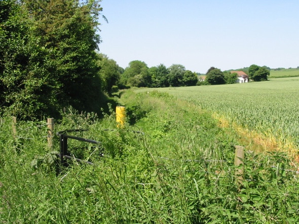 Photo 6"x4" Footpath to Duck Street, Elham Elham c2008