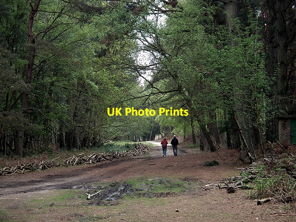 Photo 6"x4" Taking a stroll on Brownsea Lower Hamworthy c2012