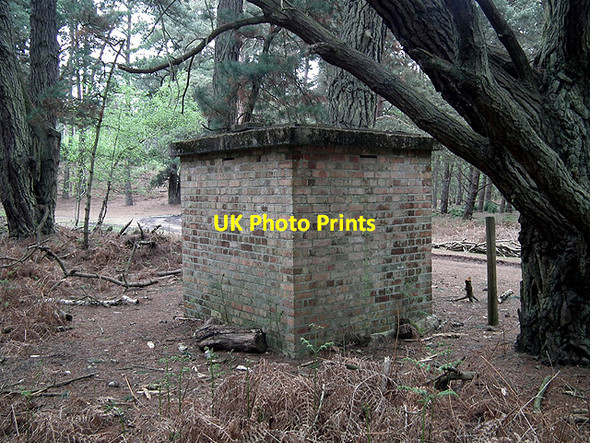 Photo 6"x4" Brownsea Island bat roost Lower Hamworthy c2012