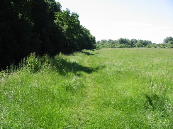 Photo 6"x4" Looking S along footpath beside the Little Stour Grove Hill\/TR2360 c2008