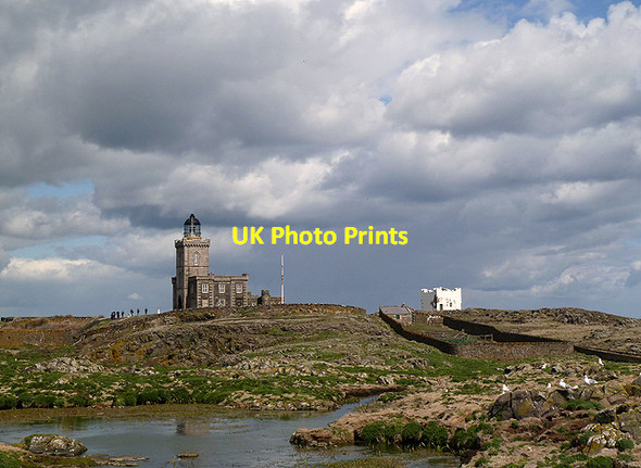 Photo 6"x4" The Isle of May Lighthouse Tarbet Hole c2012