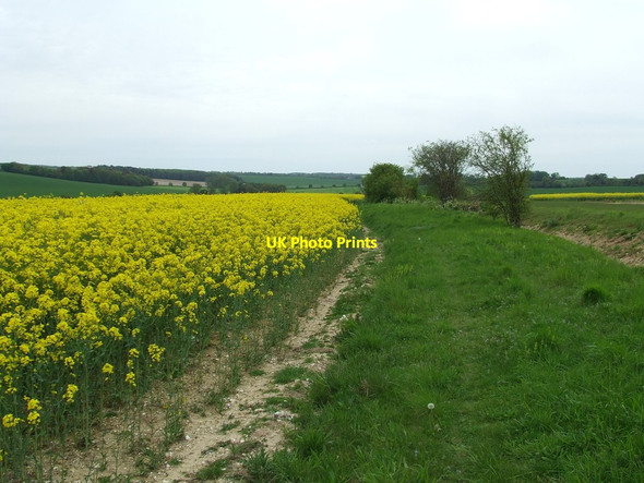 Photo 6"x4" Old Suffolk Road Dalham c2012