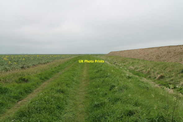 Photo 6"x4" Public Footpath near Friskney Eaudyke Friskney Eaudyke c2012