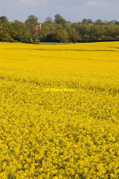 Photo 6"x4" Severn Stoke church tower Severn Stoke c2012