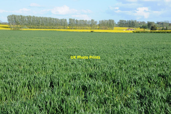 Photo 6"x4" Arable land at Clifton Birch Green\/SO8545 c2012