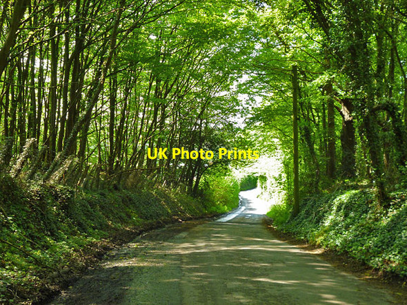 Photo 6"x4" Grandshore Lane Frittenden c2012