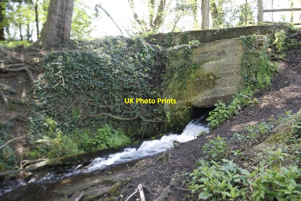 Photo 6"x4" Water gushing out Chilworth\/TQ0247 c2012