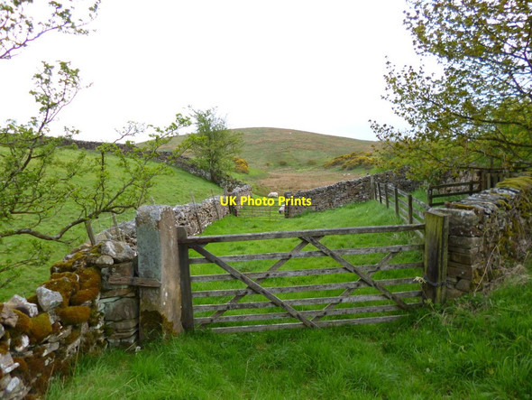 Photo 6"x4" Hutton Roof, sheepfold Dalton\/SD5476 c2012