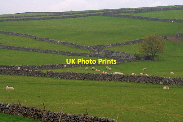 Photo 6"x4" Field Boundaries Wheston c2012