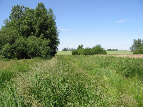 Photo 6"x4" Looking towards the Grove Road Grove Hill\/TR2360 c2008