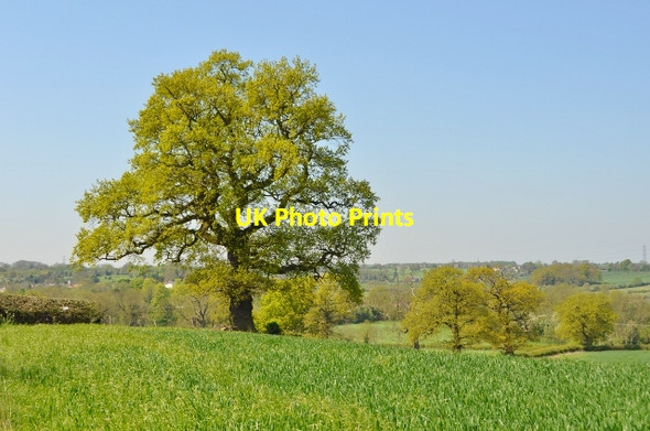 Photo 6"x4" View from Redhill Lane New Swannington c2012