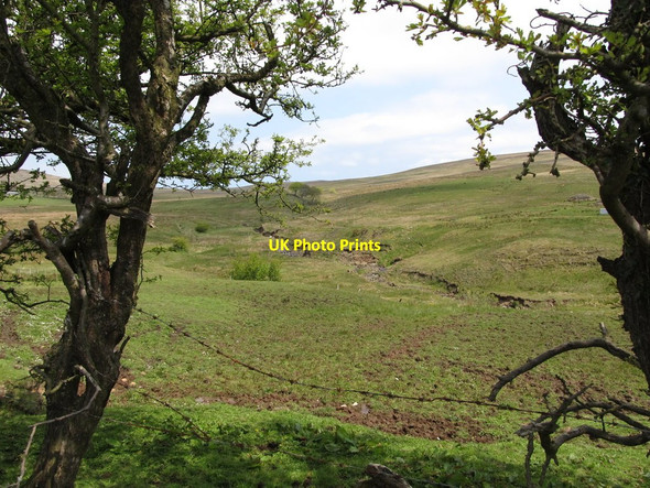 Photo 6"x4" The upper reaches of the Collin River Clady\/J2578 c2012