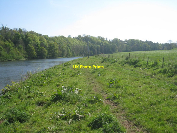 Photo 6"x4" View towards Horncliffe House Loanend\/NT9450 c2012