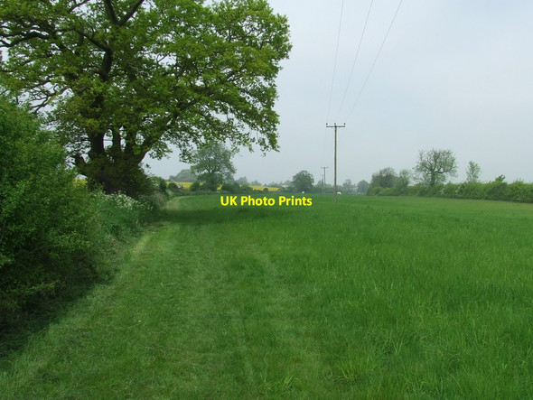 Photo 6"x4" Very Green Footpath Haverhill\/TL6645 c2012