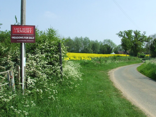 Photo 6"x4" Meadow For Sale Foxearth\/TL8344 c2012