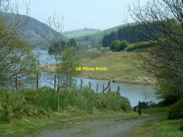 Photo 6"x4" By Llyn Clywedog Braichyfedw c2012