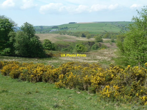Photo 6"x4" Countryside view across rough grassland Cwmbelan c2012