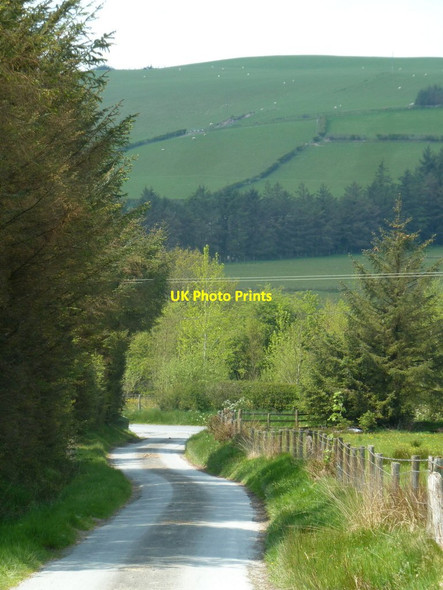 Photo 6"x4" Farm track from Pen-hyle-mawr Llangurig c2012