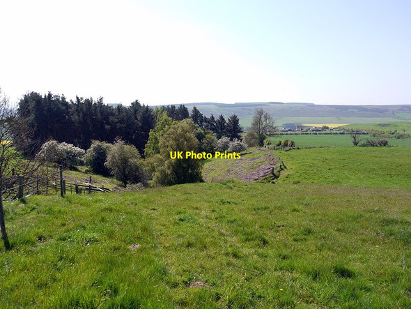 Photo 6"x4" Wooded stream valley south-west of Broomy Knowe East Horton c2012
