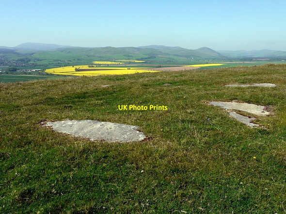 Photo 6"x4" Cluster of cup & ring marked rock outcrops, Gled Law East Horton c2012