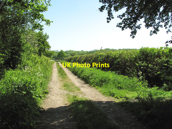 Photo 6"x4" To Seething Road on Wash Lane Hedenham c2012