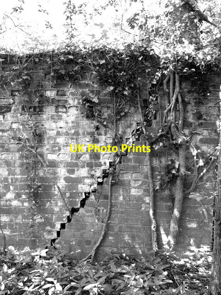 Photo 6"x4" Zig-zagging crack Hedenham c2012