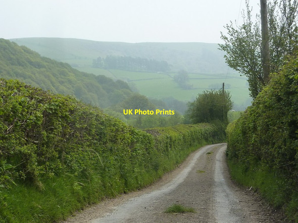 Photo 6"x4" Lane along the valley of Bachell Brook Llananno c2012