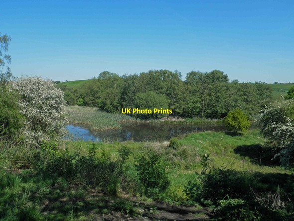 Photo 6"x4" Carlton Marsh nature reserve Royston\/SE3511 c2012
