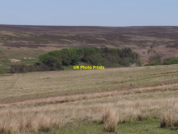 Photo 6"x4" Rough grazing near Hunt House Hazel Head\/SE8099 c2012