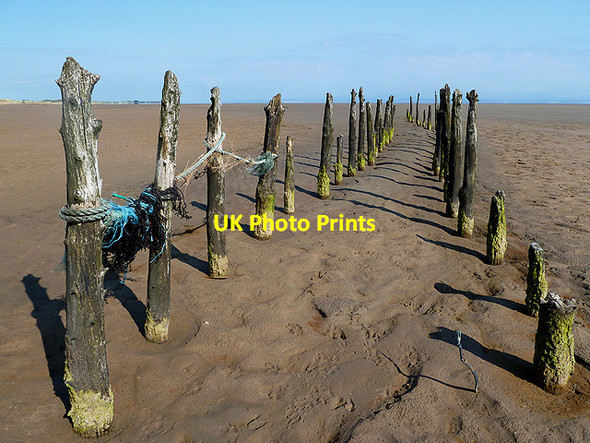 Photo 6"x4" Old posts on Mersehead Sands Nether Clifton c2012