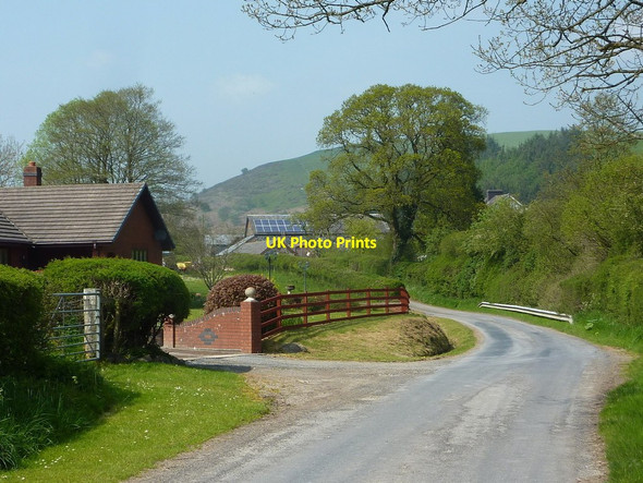 Photo 6"x4" Lane near Fishpool Farm Abbeycwmhir c2012