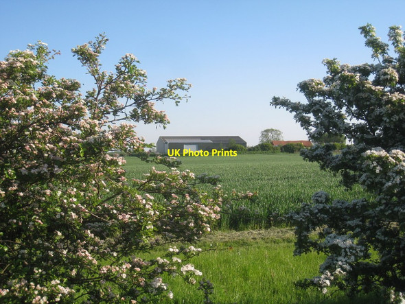 Photo 6"x4" Kirton Cliff Farm Kirton in Lindsey c2012