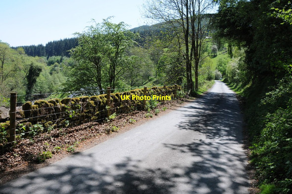 Photo 6"x4" Road in the Grwyne valley Llanthony c2012