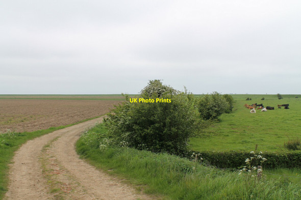 Photo 6"x4" Track off end of Sea Lane Hall End\/TF4350 c2012